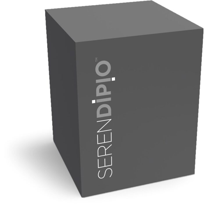 Serendipio Sheridan Stainless Steel Vacuum Tumbler - 300ml - Image 7